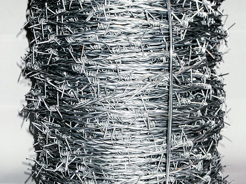 dscf0388-crop-u2120