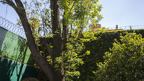 _mg_9952 como objeto inteligente-1